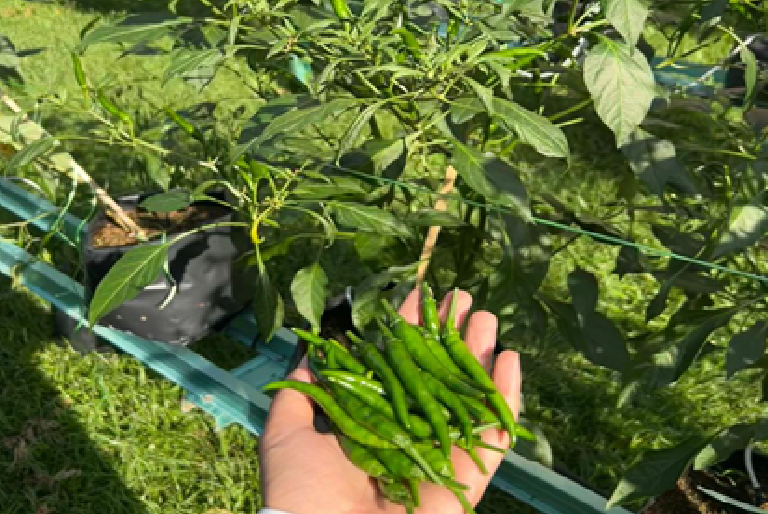 Panelists: Neil Blumenthal, Co-Founder and Co-C.E.O. of Warby Parker; Steve Case, Co-Founder of AOL, Chairman and C.E.O. of Revolution; Kevin Plank, Founder, President and C.E.O. of Under Armour; Carolina Pluszczynski, Acting C.E.O. of Michigan Central; Shivani Siroya, Founder and C.E.O. of Tala Moderator: Domenico Grasso, President of The University of Michigan