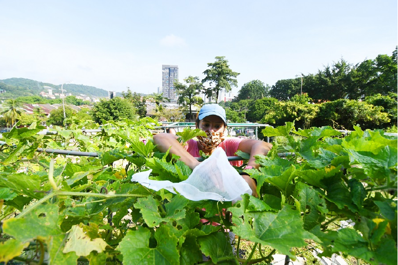 An array of solar panels on the North Campus Research Complex.