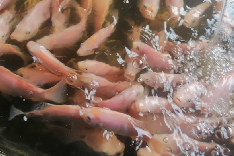 Yoga class in campus hall